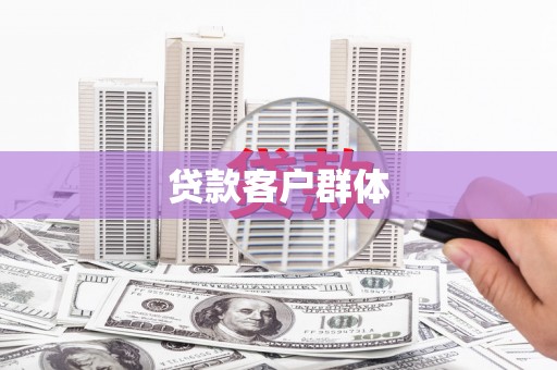华龙贷款客户群体