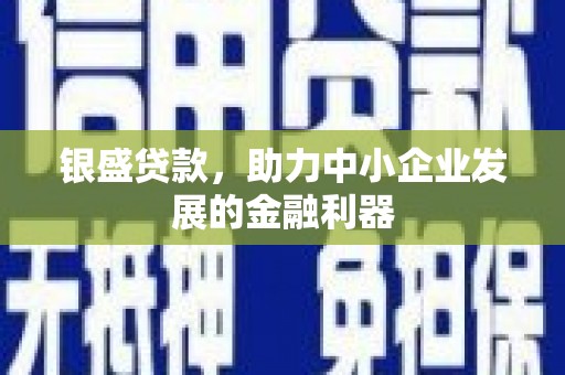 华龙银盛贷款，助力中小企业发展的金融利器