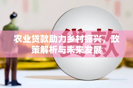 华龙农业贷款助力乡村振兴，政策解析与未来发展