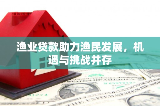 华龙渔业贷款助力渔民发展，机遇与挑战并存