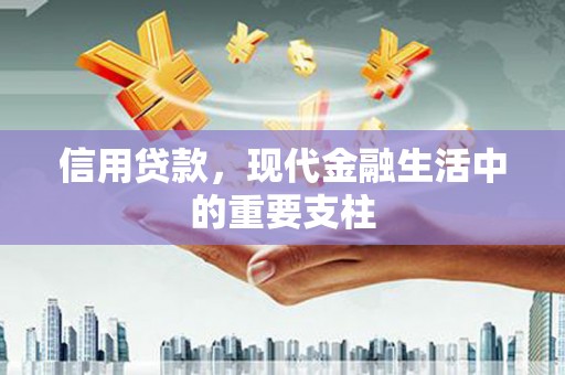 华龙信用贷款，现代金融生活中的重要支柱
