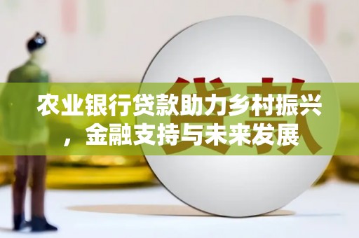 华龙农业银行贷款助力乡村振兴，金融支持与未来发展
