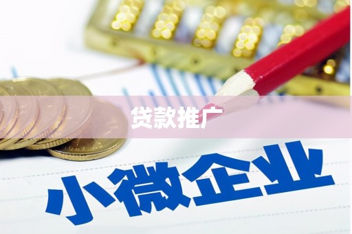 华龙贷款推广