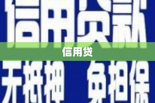 华龙信用贷