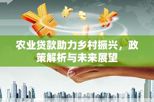 华龙农业贷款助力乡村振兴，政策解析与未来展望