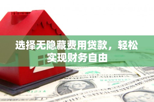 华龙选择无隐藏费用贷款，轻松实现财务自由