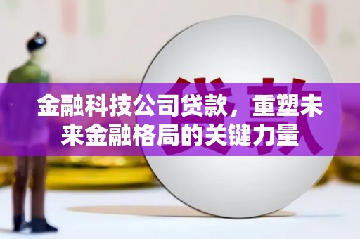 华龙金融科技公司贷款，重塑未来金融格局的关键力量