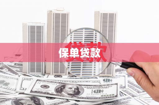 华龙保单贷款