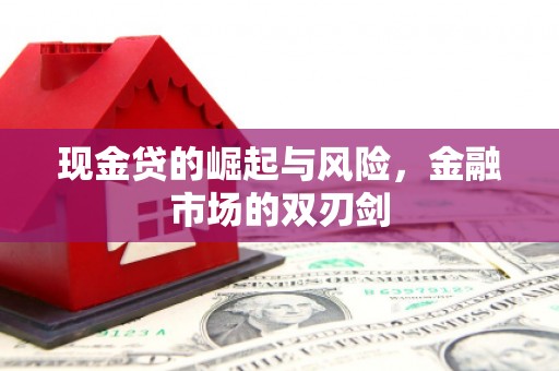 华龙现金贷的崛起与风险，金融市场的双刃剑