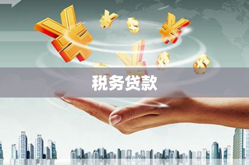 华龙税务贷款