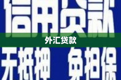 华龙外汇贷款