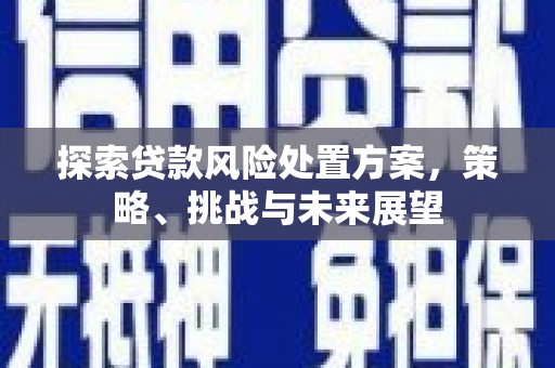 华龙探索贷款风险处置方案，策略、挑战与未来展望