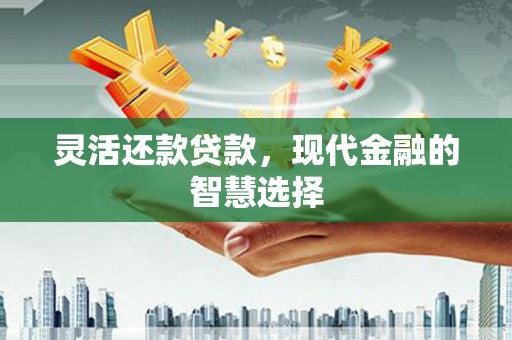 华龙灵活还款贷款，现代金融的智慧选择