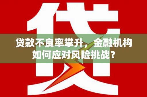 华龙贷款不良率攀升，金融机构如何应对风险挑战？
