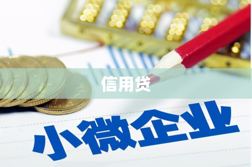 华龙信用贷