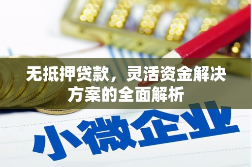 华龙无抵押贷款，灵活资金解决方案的全面解析