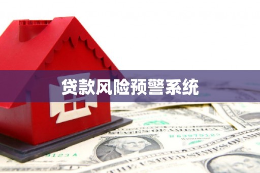 华龙贷款风险预警系统