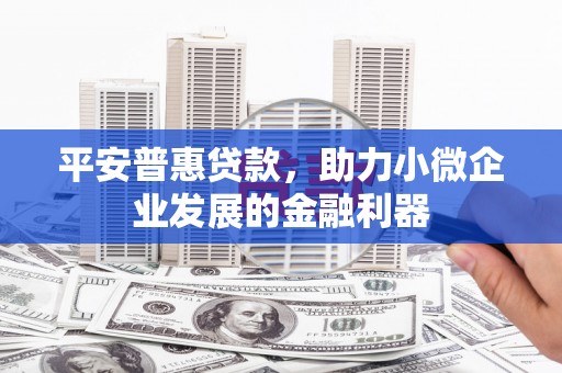 华龙平安普惠贷款，助力小微企业发展的金融利器