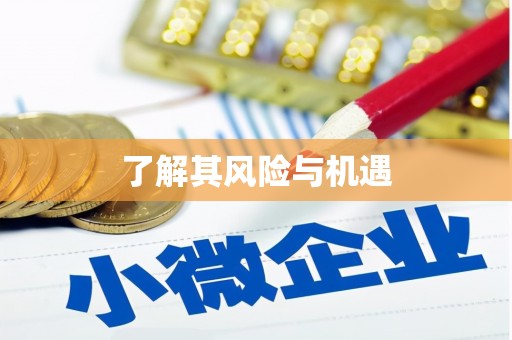 华龙了解其风险与机遇