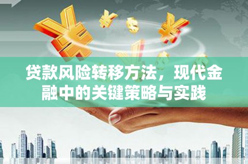 华龙贷款风险转移方法，现代金融中的关键策略与实践
