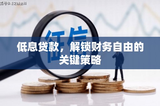 华龙低息贷款，解锁财务自由的关键策略