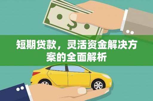 华龙短期贷款，灵活资金解决方案的全面解析