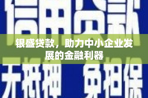 华龙银盛贷款，助力中小企业发展的金融利器