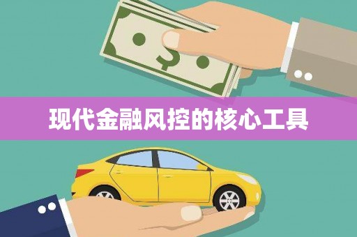 华龙现代金融风控的核心工具