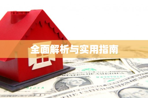 华龙全面解析与实用指南