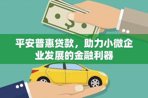 华龙平安普惠贷款，助力小微企业发展的金融利器