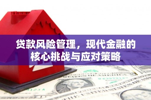 华龙贷款风险管理，现代金融的核心挑战与应对策略