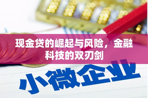 华龙现金贷的崛起与风险，金融科技的双刃剑