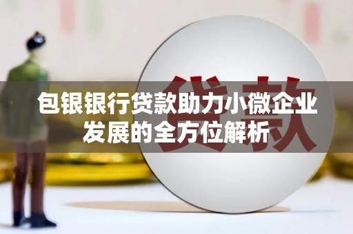 华龙包银银行贷款助力小微企业发展的全方位解析