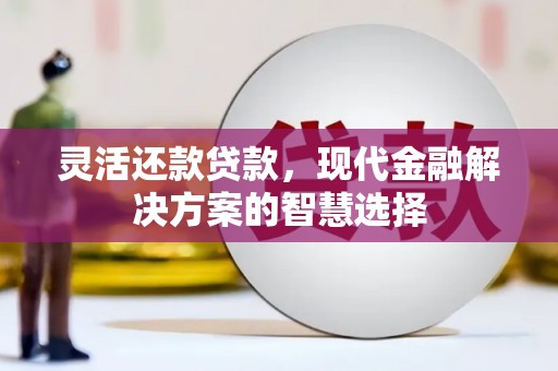 华龙灵活还款贷款，现代金融解决方案的智慧选择