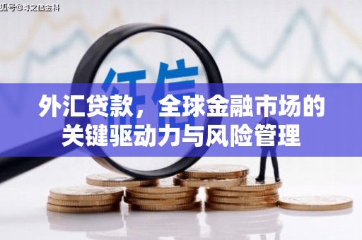 华龙外汇贷款，全球金融市场的关键驱动力与风险管理