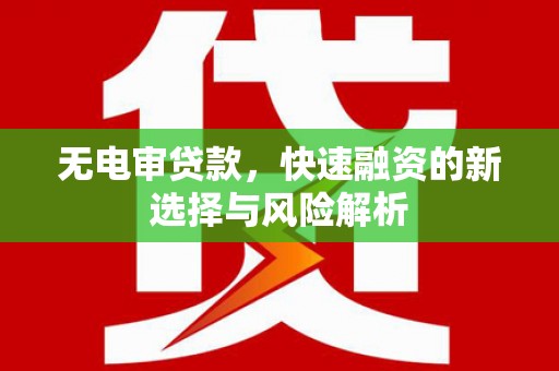 华龙无电审贷款，快速融资的新选择与风险解析