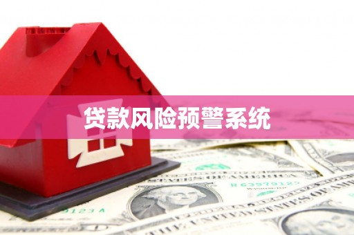 华龙贷款风险预警系统