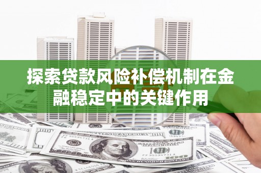 华龙探索贷款风险补偿机制在金融稳定中的关键作用