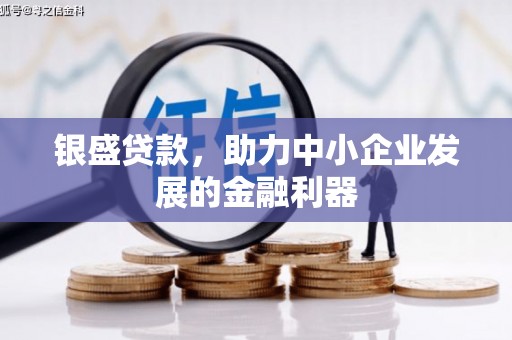华龙银盛贷款，助力中小企业发展的金融利器