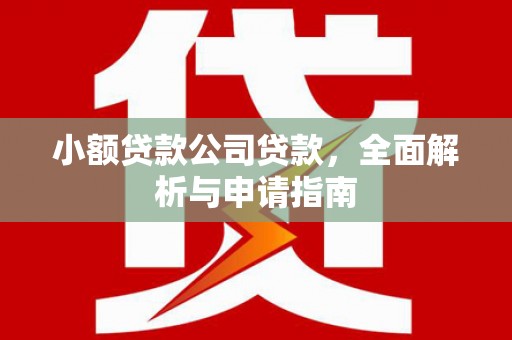 华龙小额贷款公司贷款，全面解析与申请指南