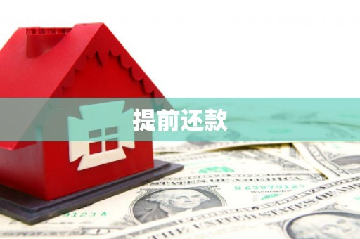 华龙提前还款