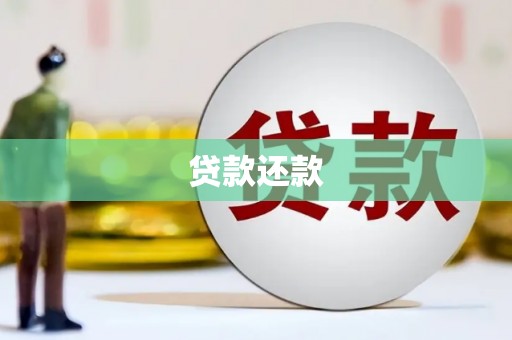 华龙贷款还款