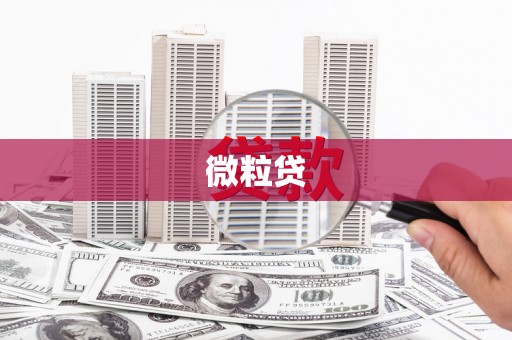 华龙微粒贷
