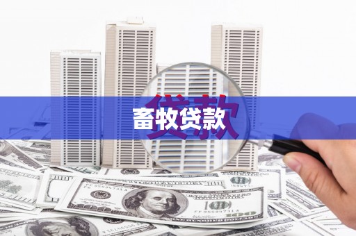 华龙畜牧贷款