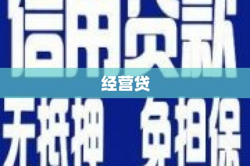 华龙经营贷