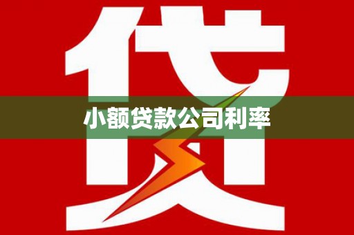 华龙小额贷款公司利率