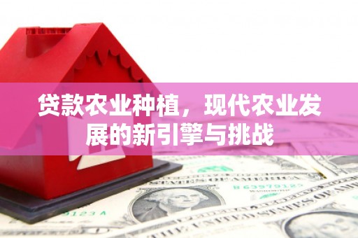 华龙贷款农业种植，现代农业发展的新引擎与挑战