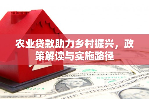 华龙农业贷款助力乡村振兴，政策解读与实施路径