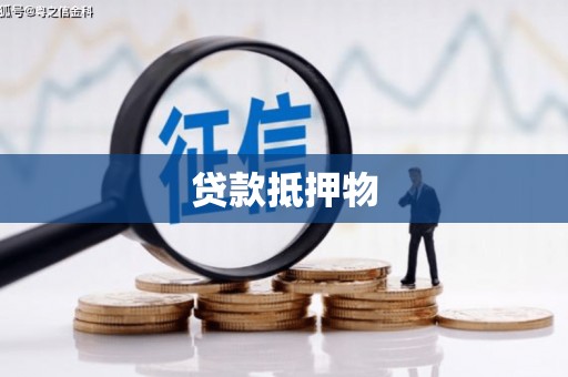 华龙贷款抵押物
