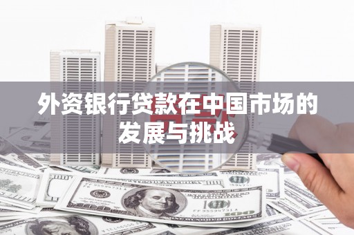 华龙外资银行贷款在中国市场的发展与挑战